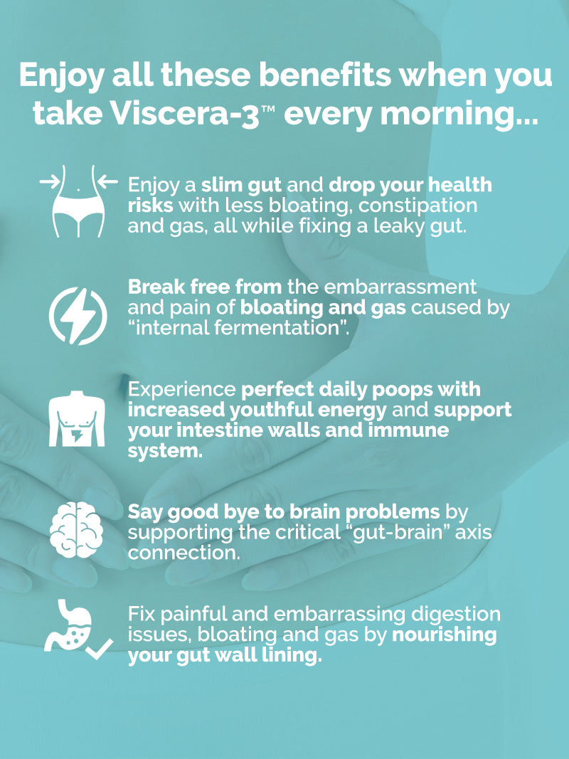 Viscera-3 Benefits
