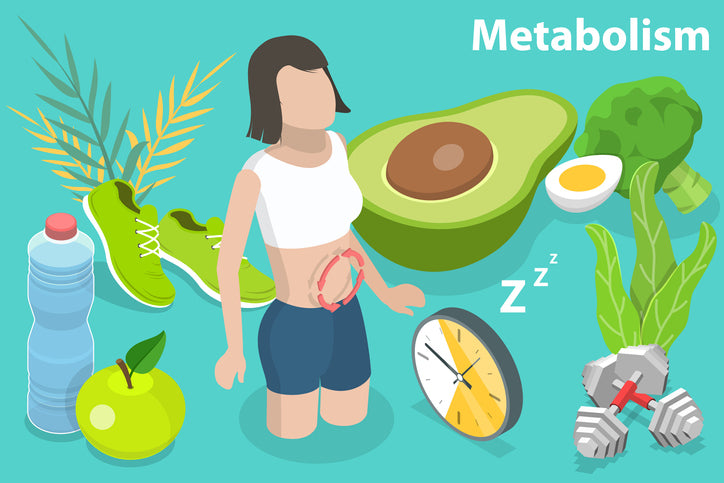 An illustration of factors that improve the metabolism with graphical images of a human females' body in sports bra and short, an avocado, half of a boiled egg, broccoli, a green apple, water bottle, sports shoes, dumbbells, and clock.