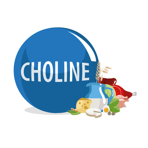 A graphic image of various choline-rich foods beside a large blue orb with white text that reads choline.