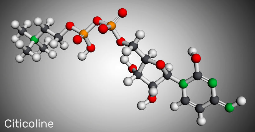 A graphical illustration of the citicoline molecule.