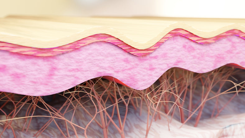 Exploring the Health Benefits of Collagen for Overall Wellness