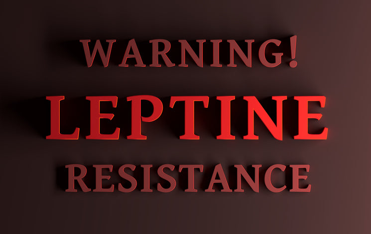 A 3d image of a warning sign for leptin resistance in bold red text that reads Warning: Leptin Resistance.  