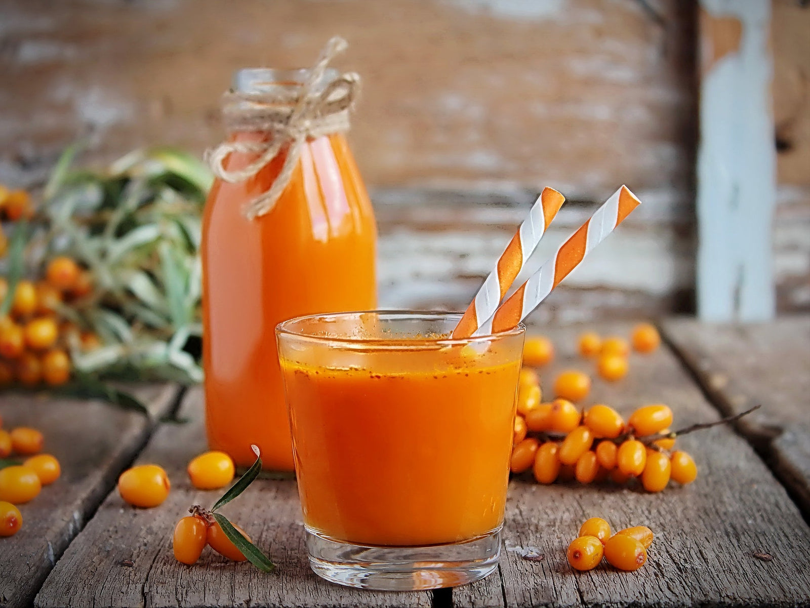 Sea Buckthorn Juice Powder