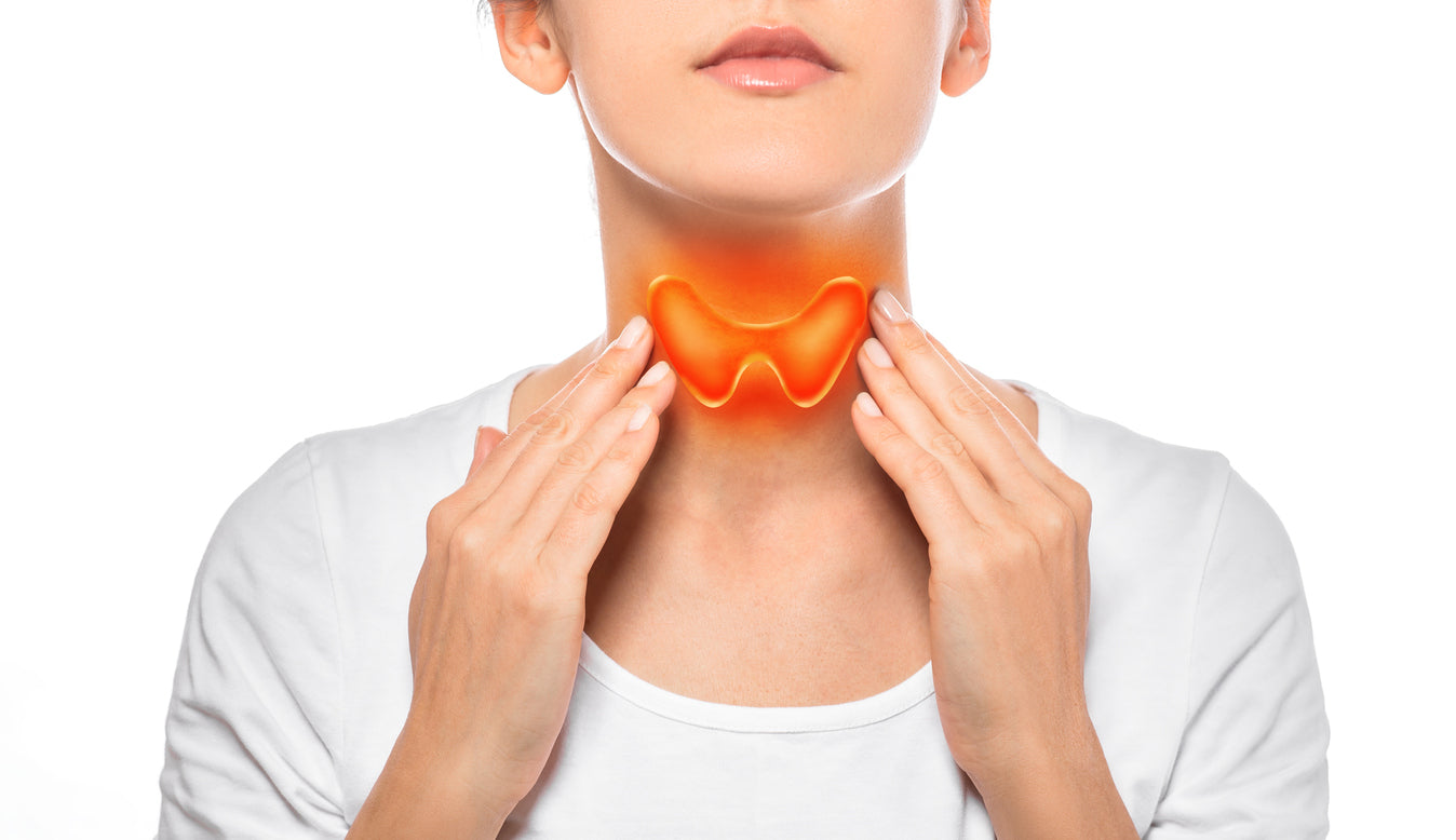 A graphical image of a young woman holding a red thyroid gland in front of her neck. 